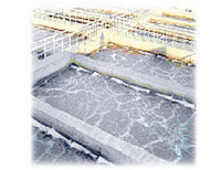 �����˳�