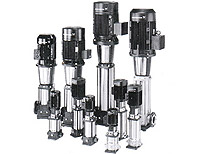 ���������ˮ